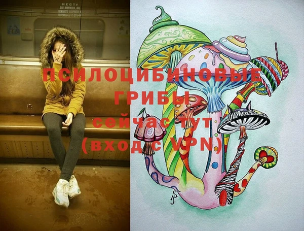 хмурый Ступино