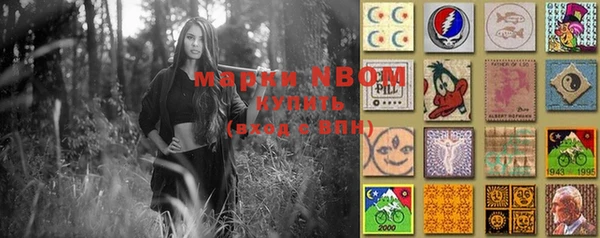 хмурый Ступино