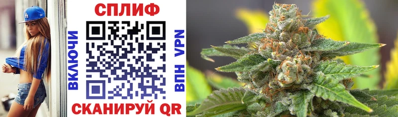 Купить закладки  Пудож  Канабис VHQ 
